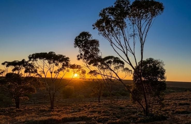 View from Woomera